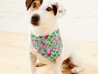 work-161489650-pet-bandana-1