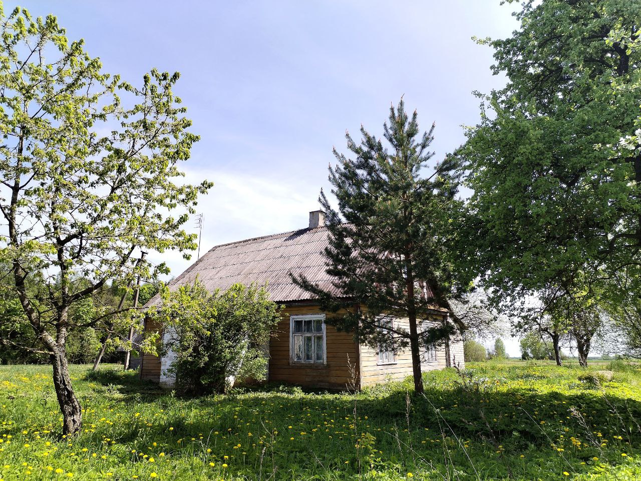 Parduodama sodyba šalia miško Anykščių r.