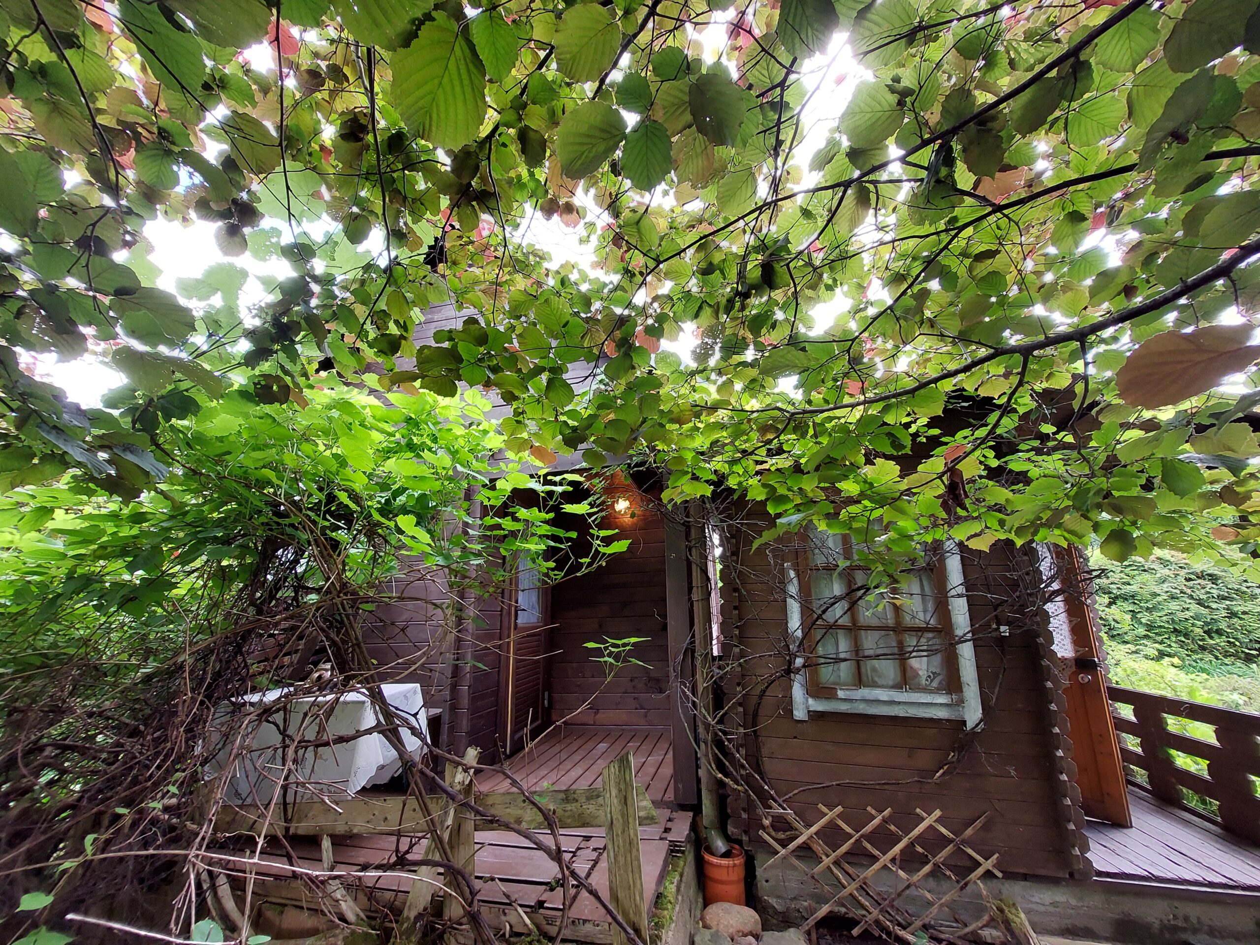 Šiūpariuose SB “Aisė” parduodamas sodas