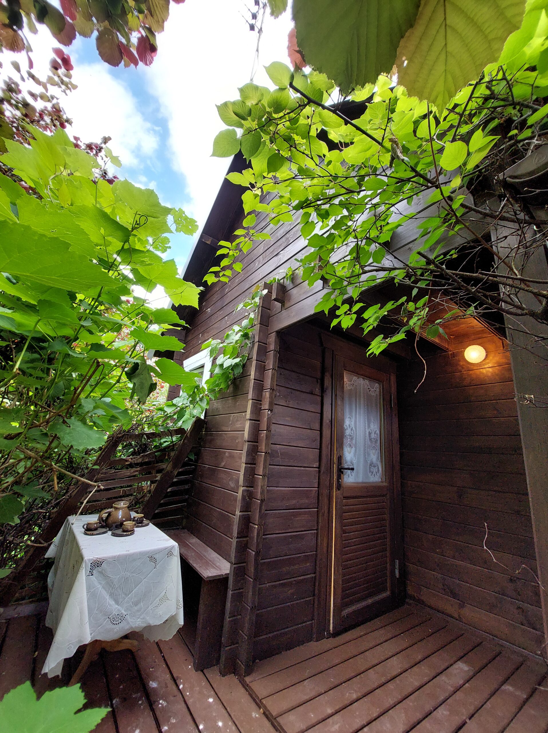 Šiūpariuose SB “Aisė” parduodamas sodas