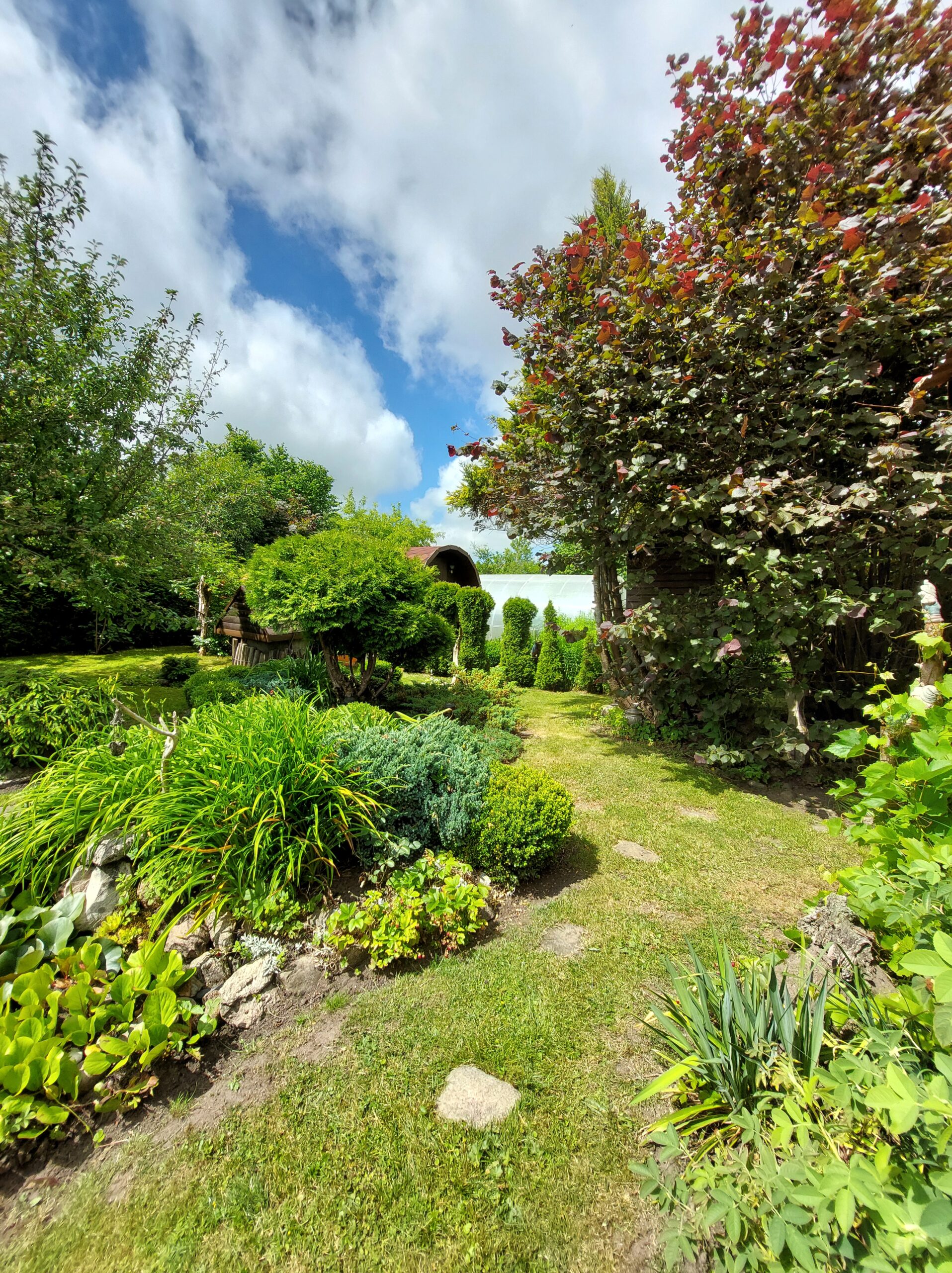 Šiūpariuose SB “Aisė” parduodamas sodas