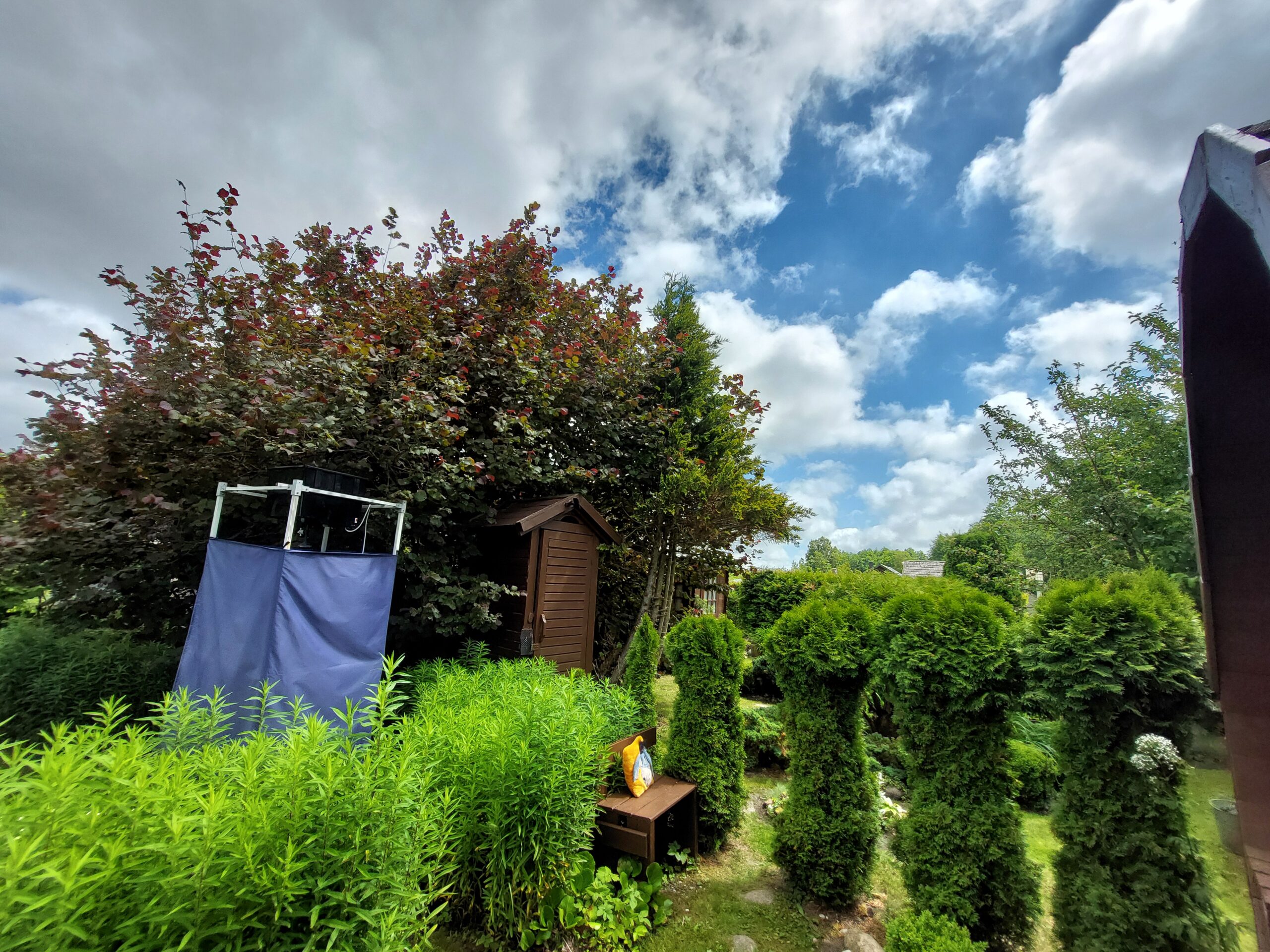 Šiūpariuose SB “Aisė” parduodamas sodas