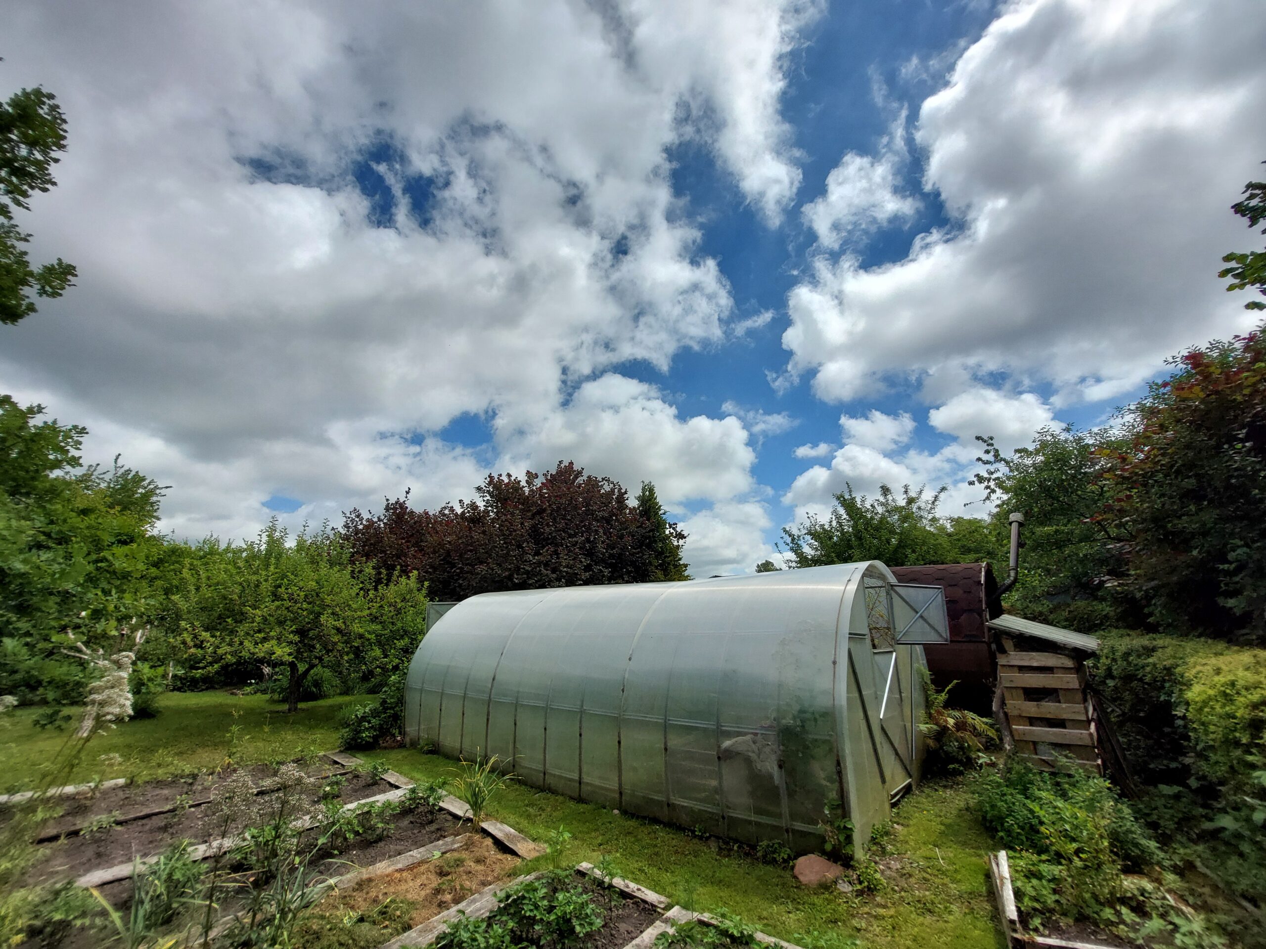Šiūpariuose SB “Aisė” parduodamas sodas