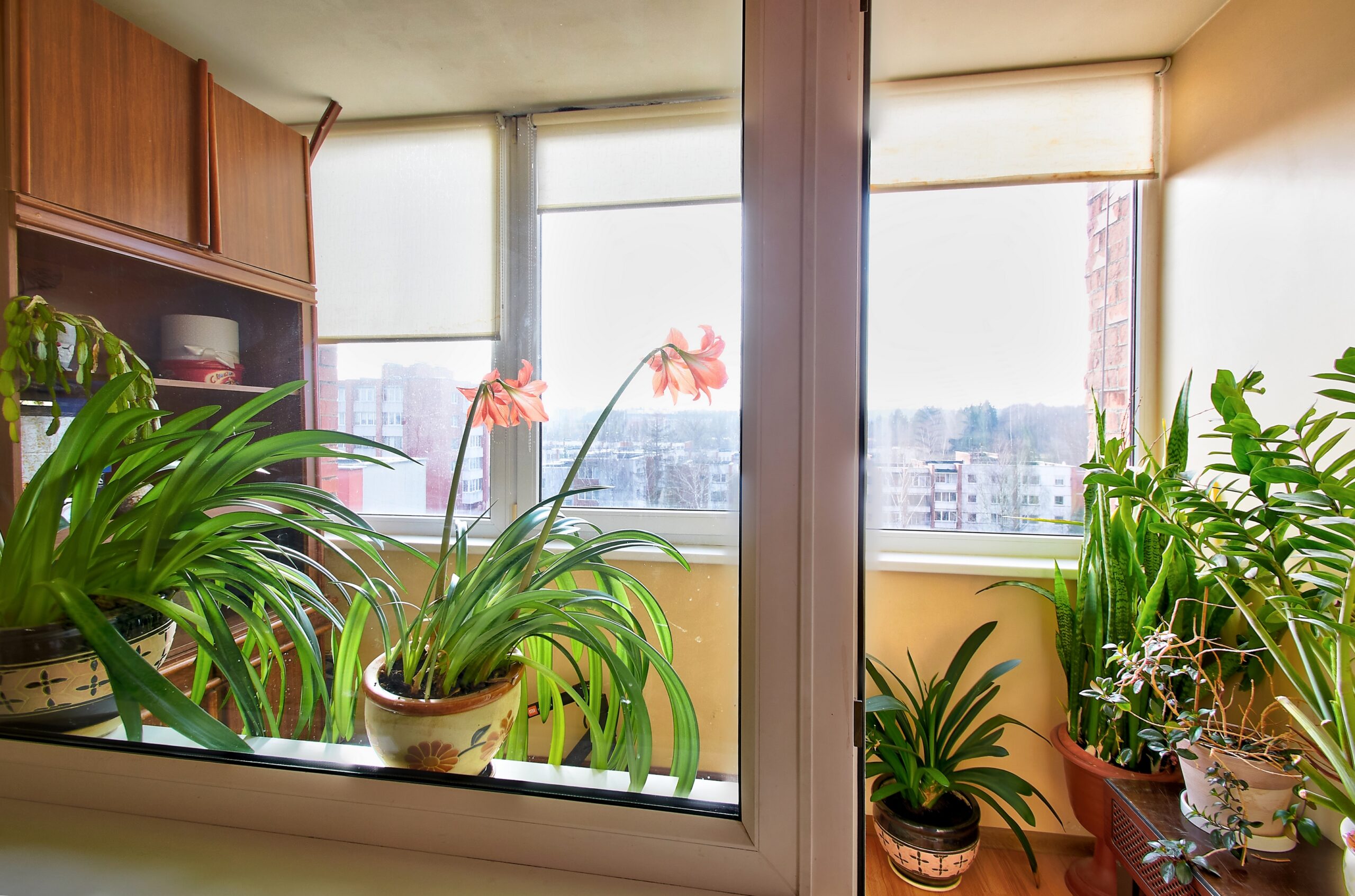 Parduodamas 4 kambarių butas Jeruzalėje, Vilniaus m.