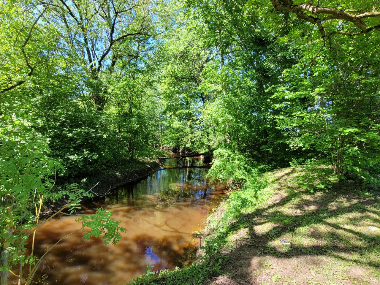 Sodyba vienkiemyje Šakių r. Baltrušių k.