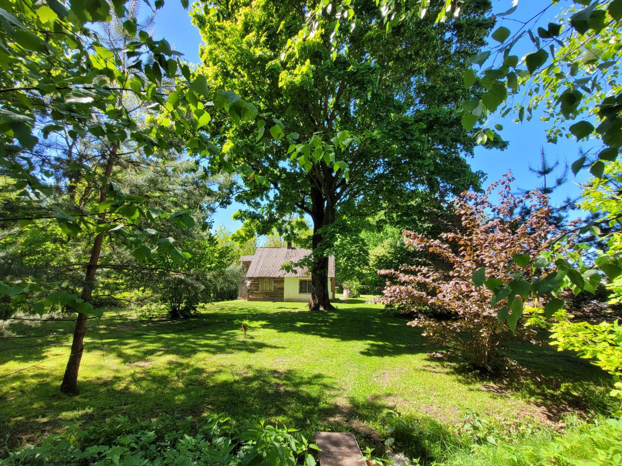 Parduodama sodyba vienkiemyje