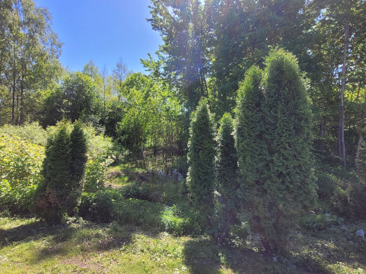 Sodyba vienkiemyje Šakių r. Baltrušių k.