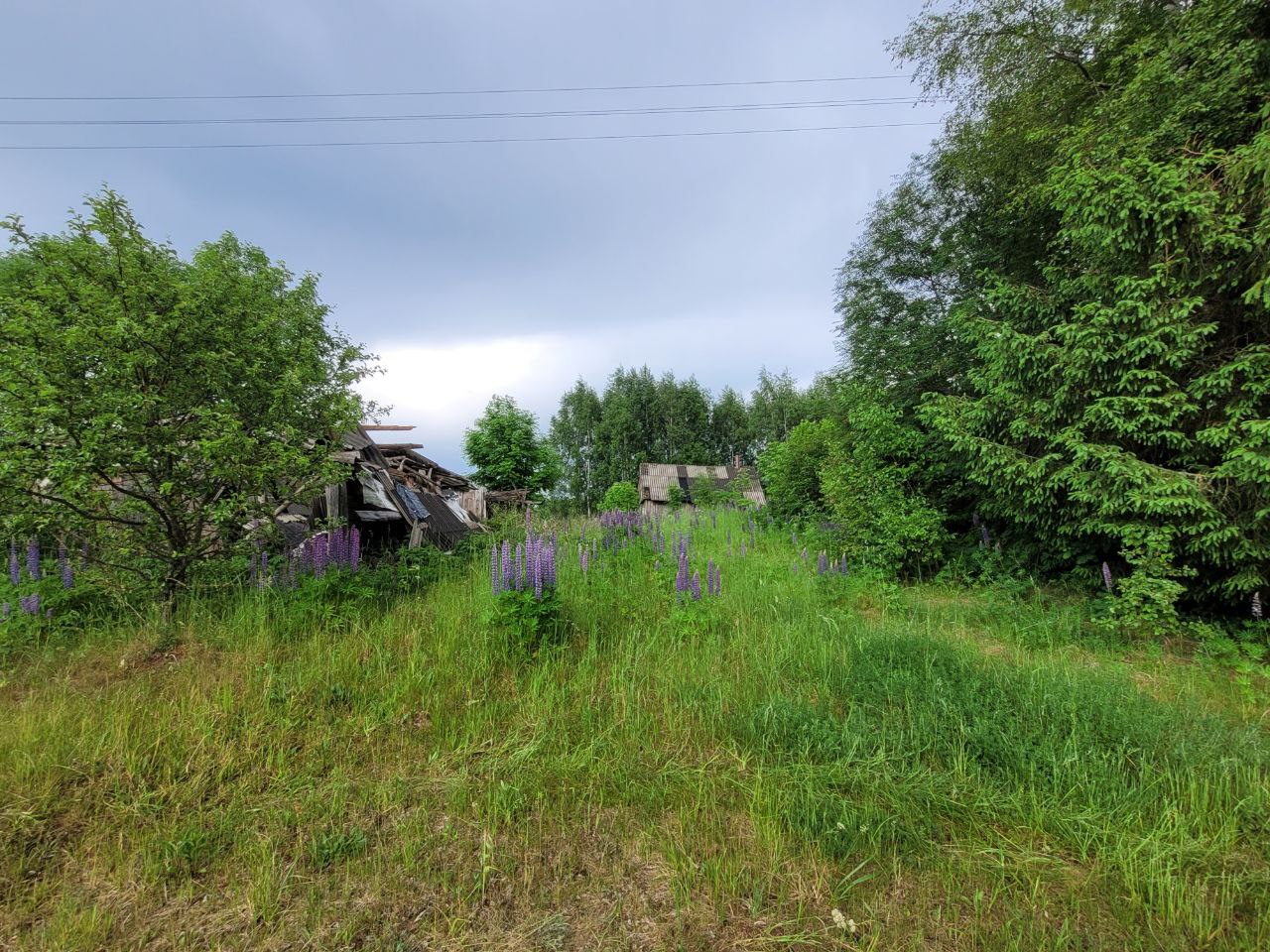 Žemės sklypas be statiniu Kaišiadorių r.