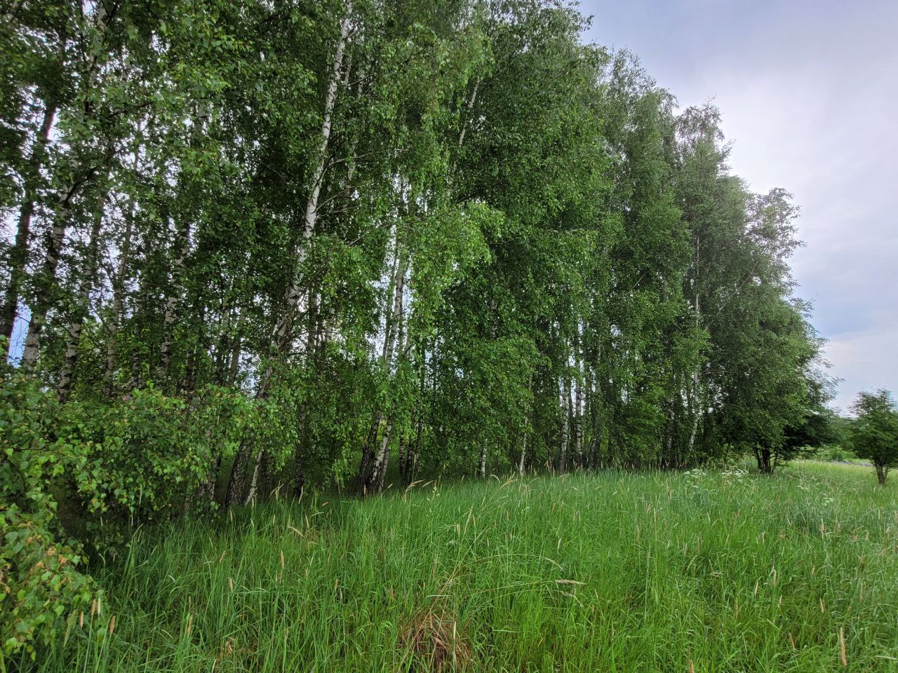 Žemės sklypas be statiniu Kaišiadorių r.