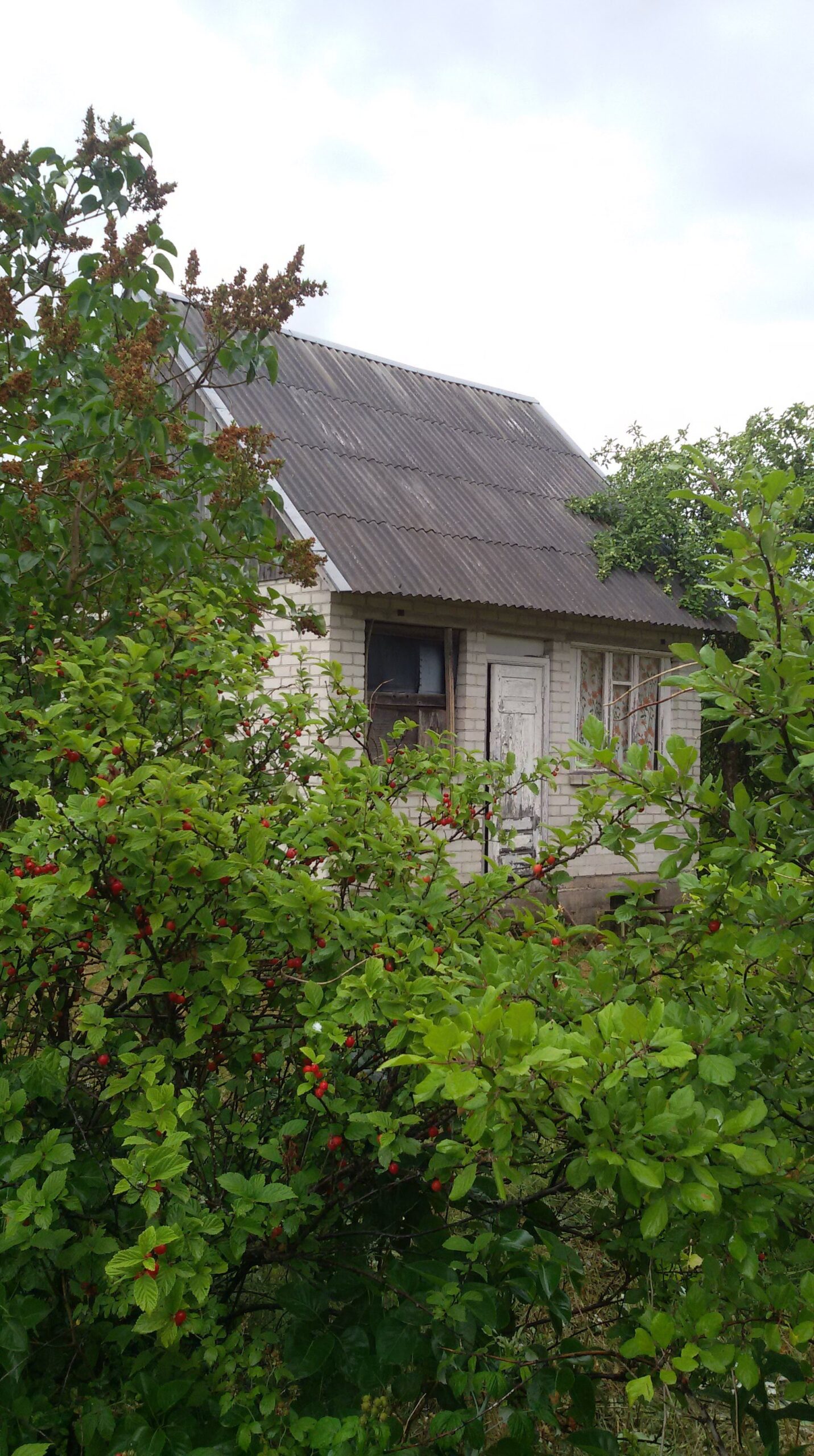 Parduodama sodyba šalia Nemuno