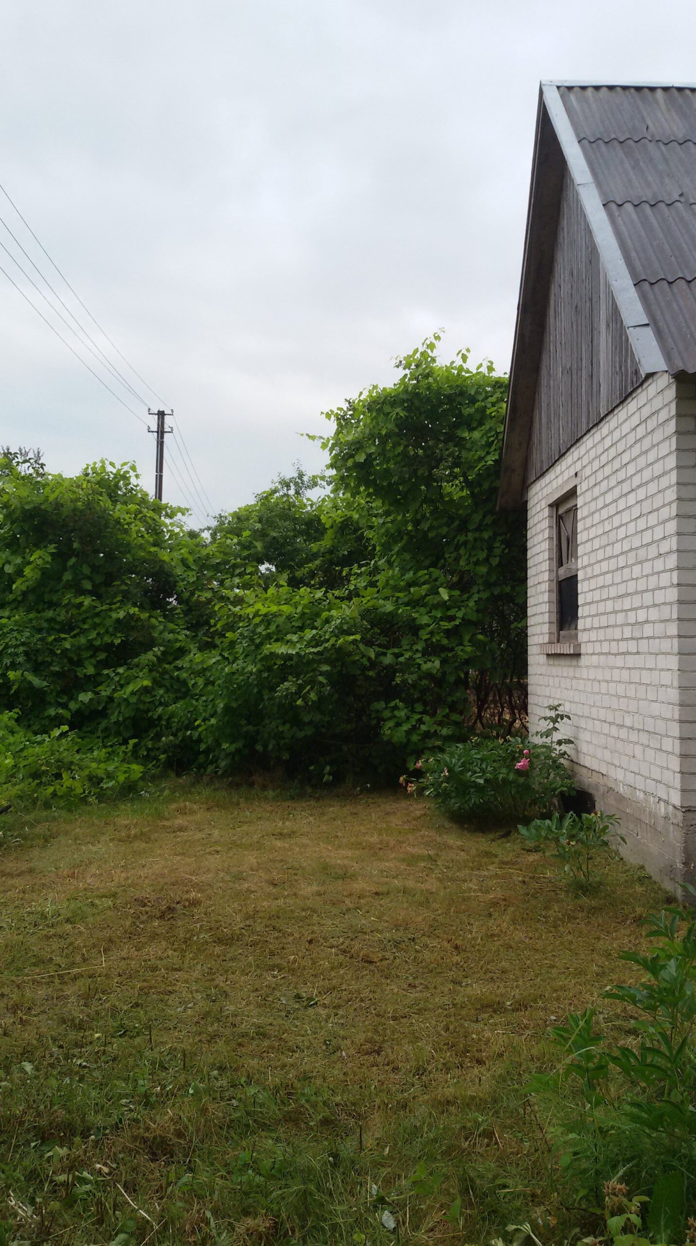 Parduodama sodyba šalia Nemuno