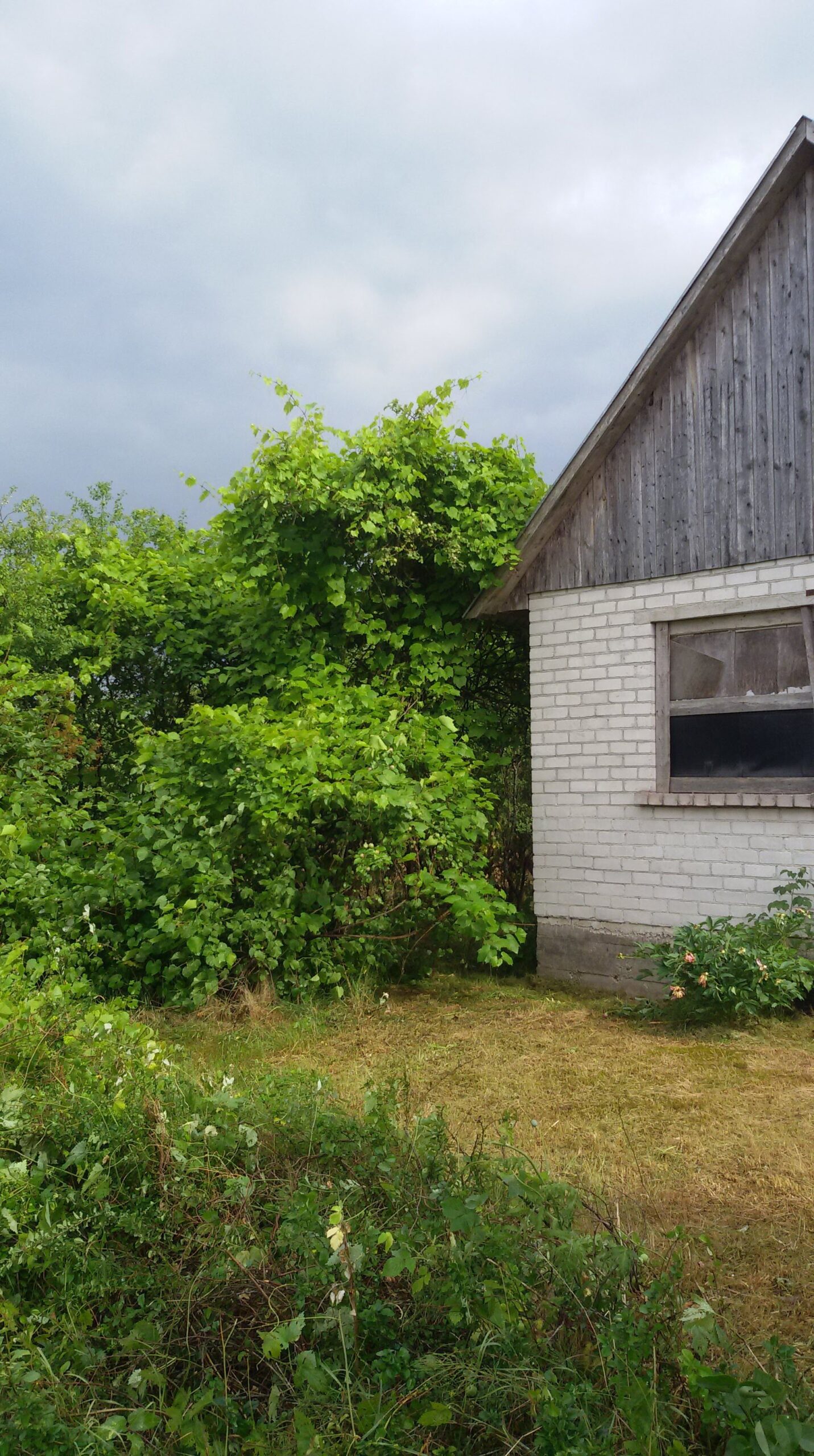 Parduodama sodyba šalia Nemuno