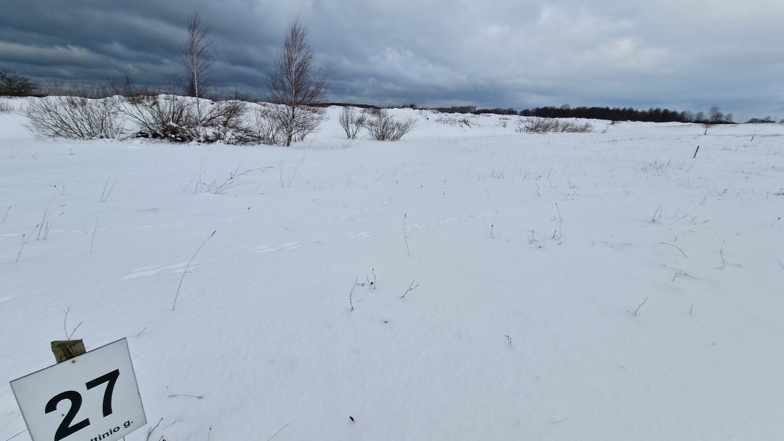 Namų valdos 2 sklypai po 20 arų Bruzdeilyne Klaipėdos raj. netoli jūros