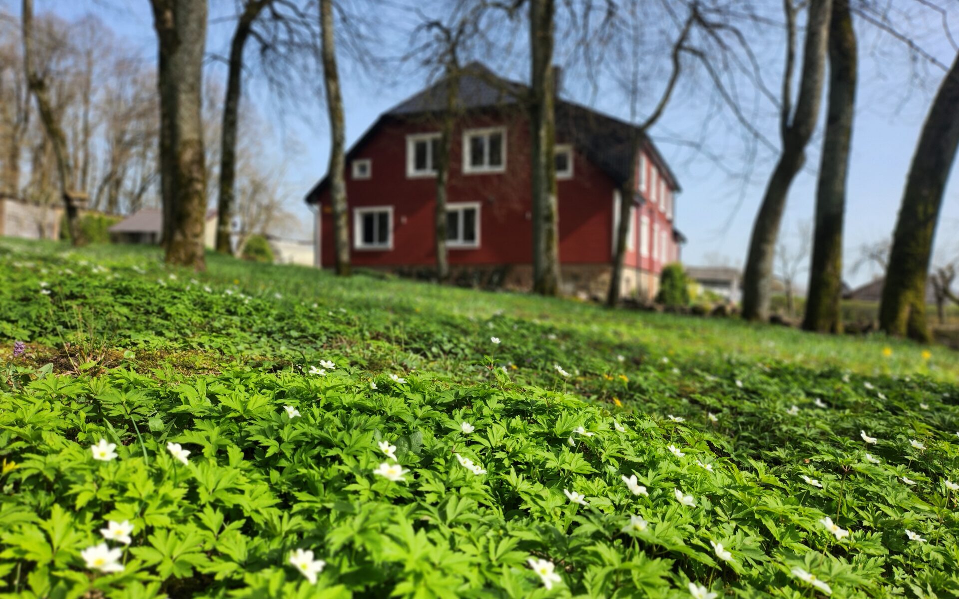 Parduodamas jaukus butas Šateikiuose