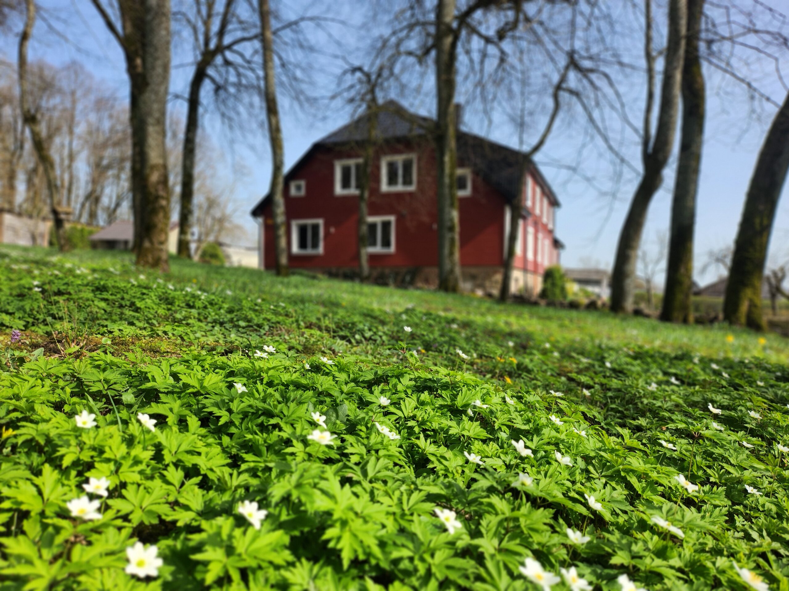 Parduodamas jaukus butas Šateikiuose
