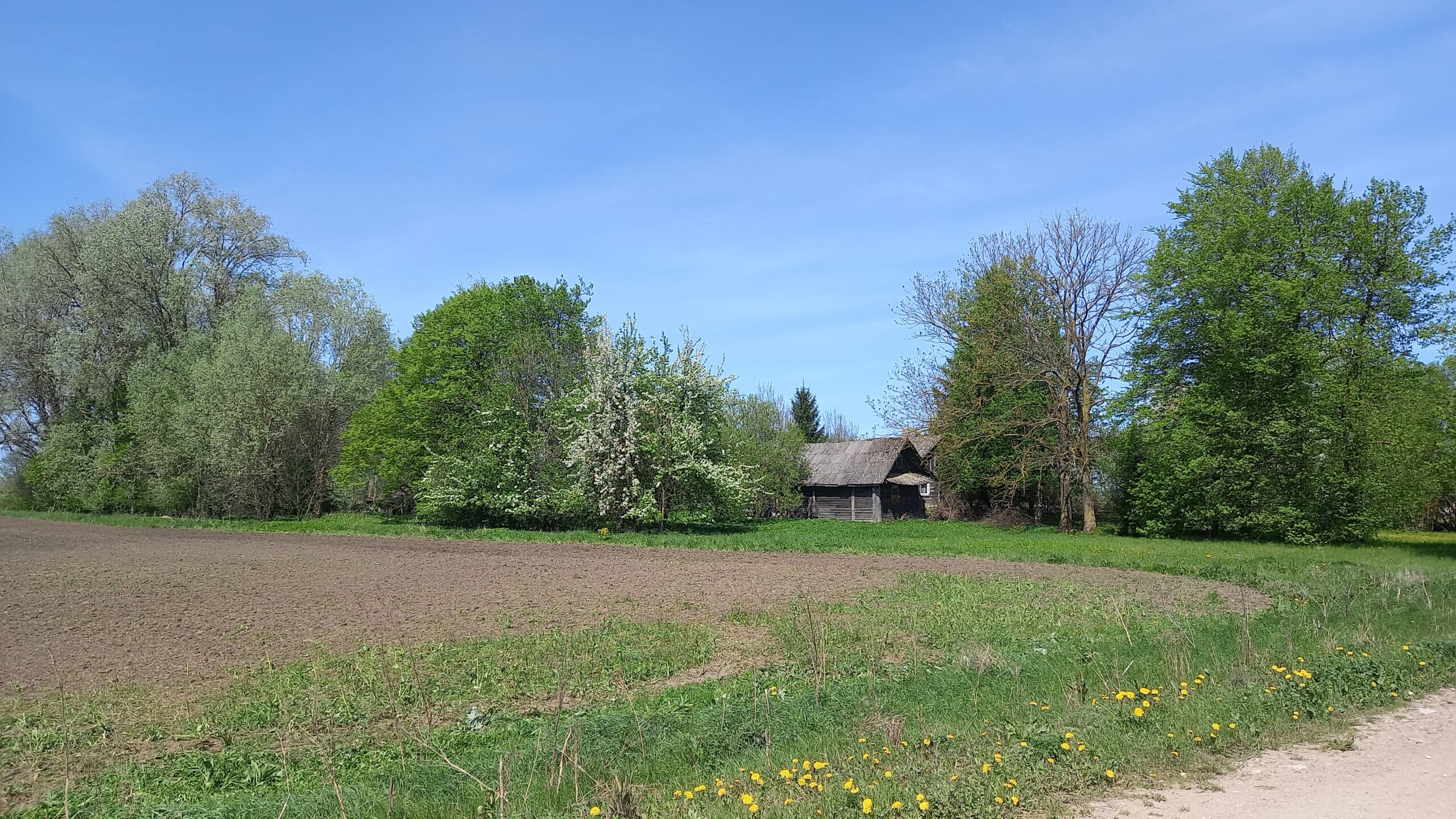 Parduodama sodyba, esanti vienkiemyje