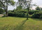 Parduodamas sodo sklypas su nameliu ir nedidelis medinis ūkinis namelis, Panevėžyje