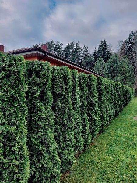 Siūlome visus gerbūvio įrengimo / tvarkymo darbus