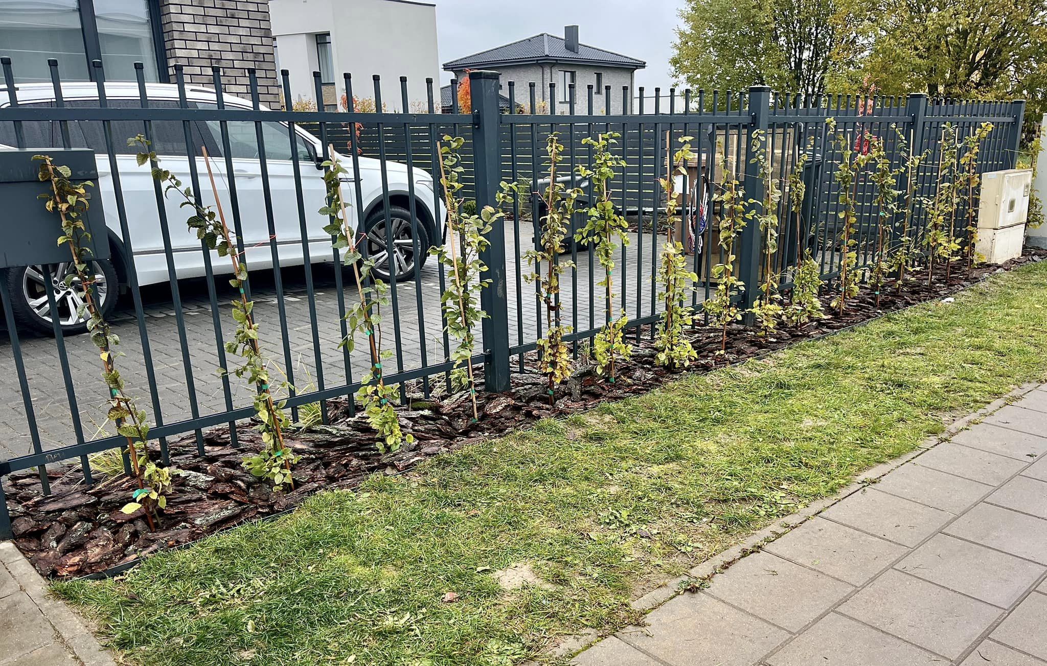 APŽELDINIMO PASLAUGOS