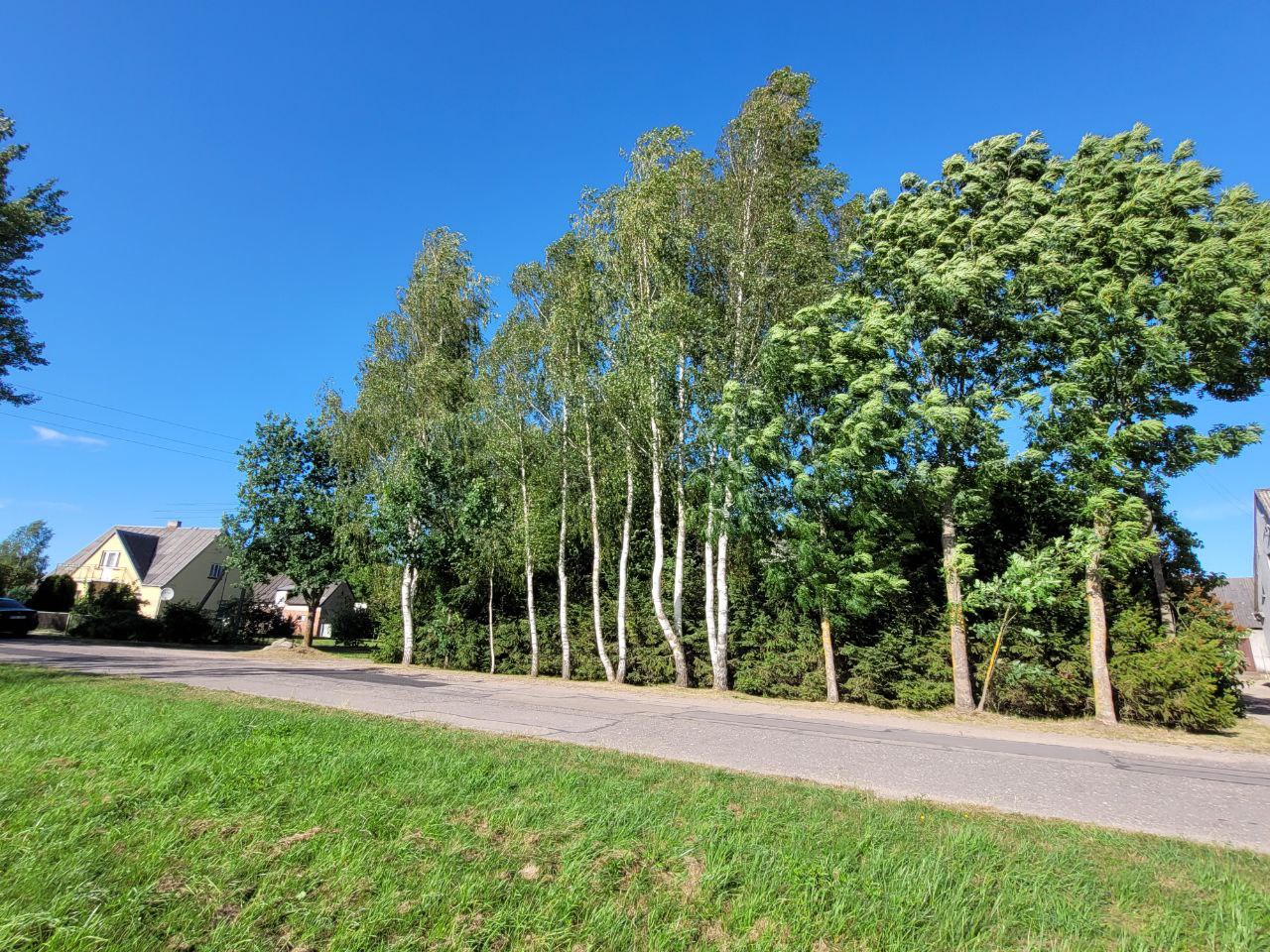 Parduodamas gyvenamasis namas Vilkaviškio r. Alvito k.