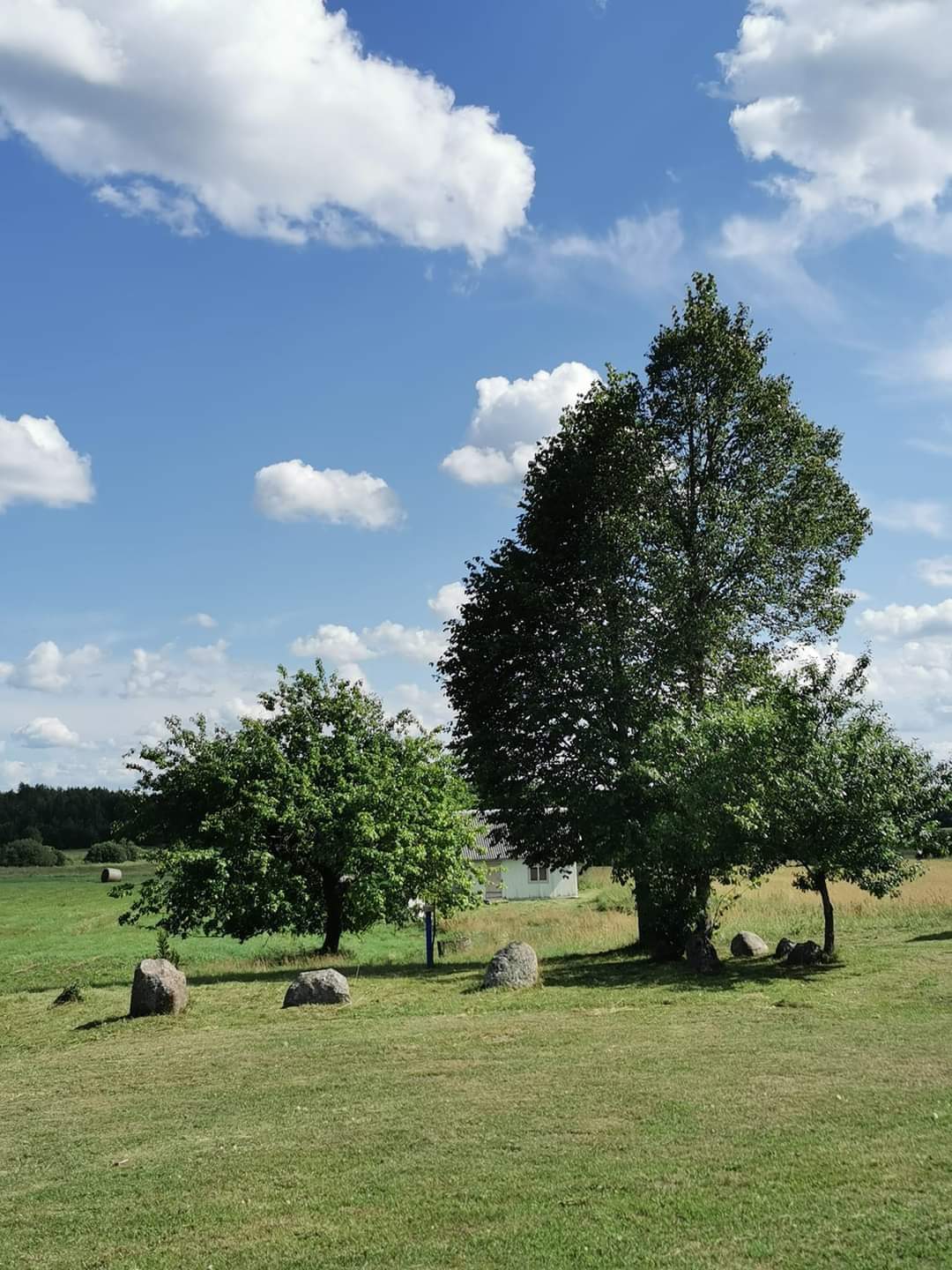 Parduodama sodyba Utenos raj.