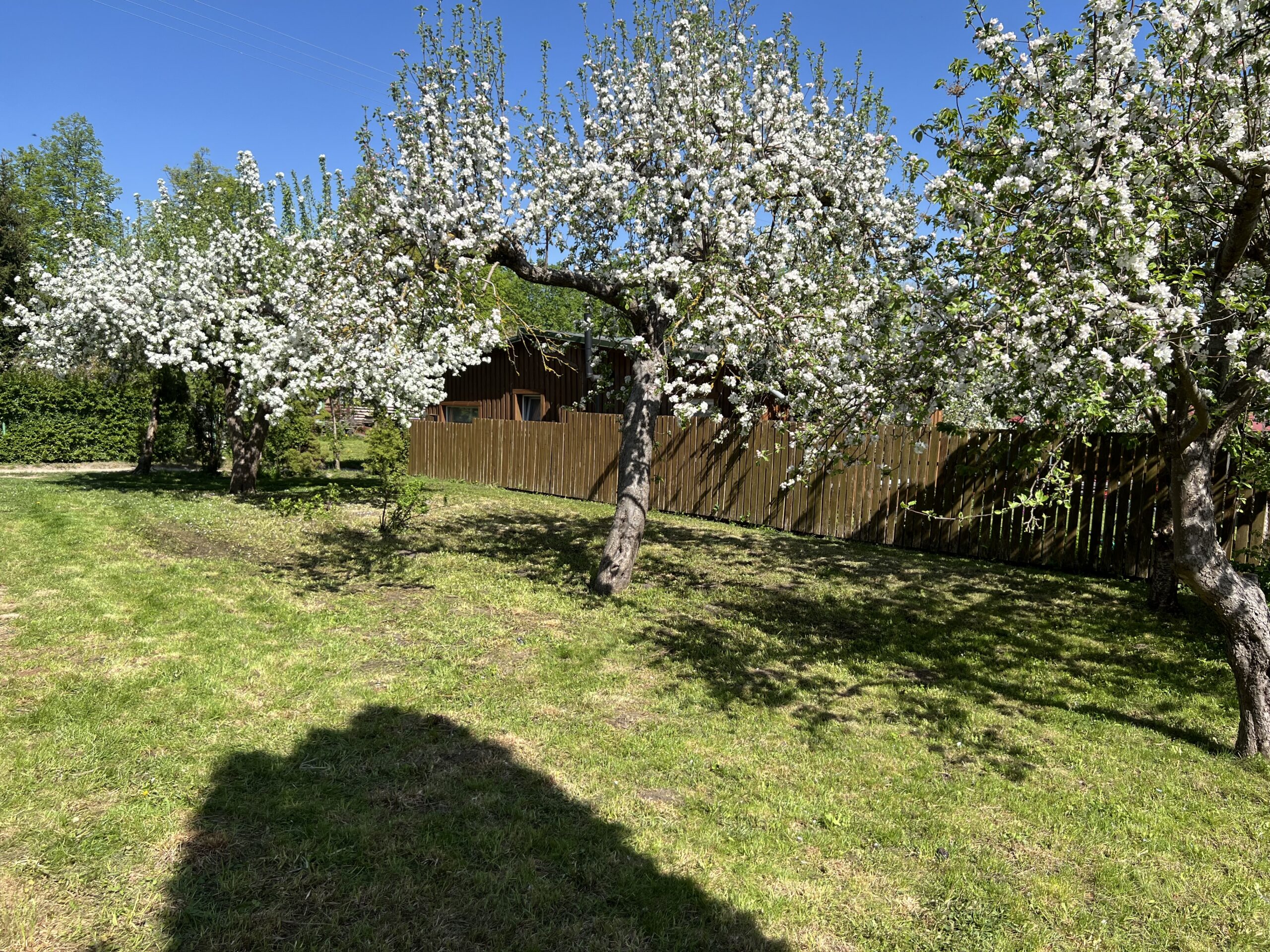 Parduodamas sodo sklypas su namu