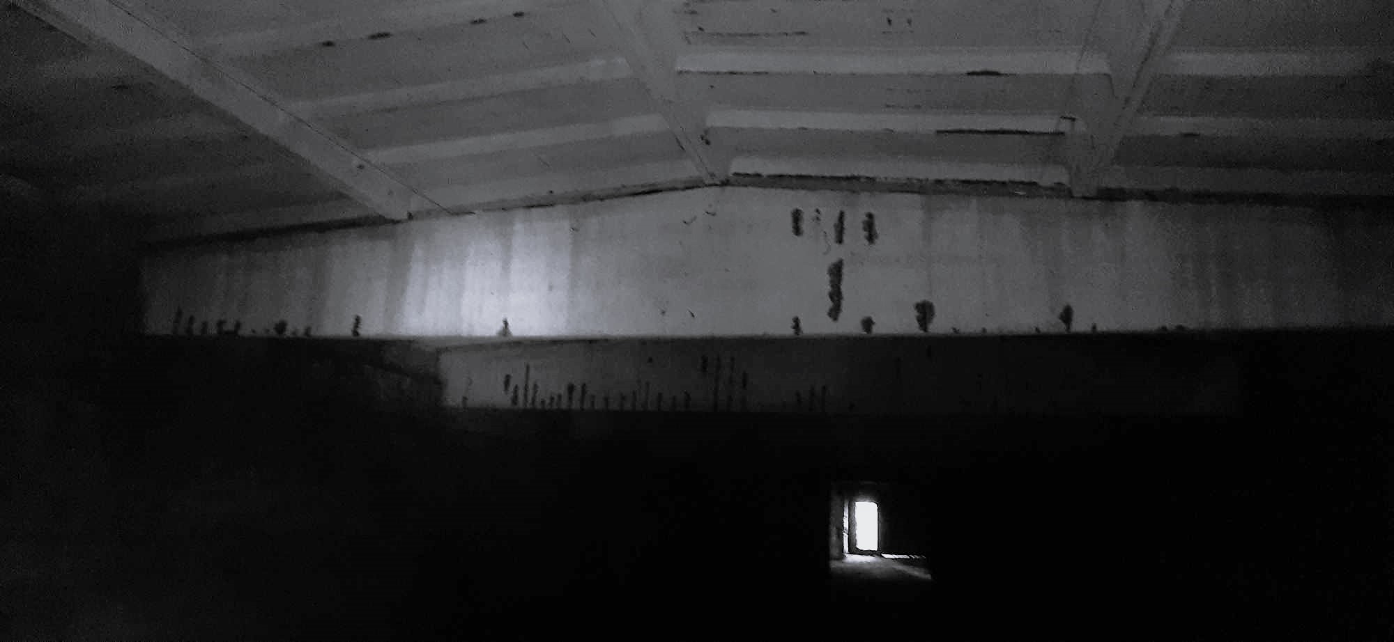 ŠAKNIAVAISIŲ SANDĖLIS – apkastas RŪSYS 436,11 kvad. m. vientiso ploto.