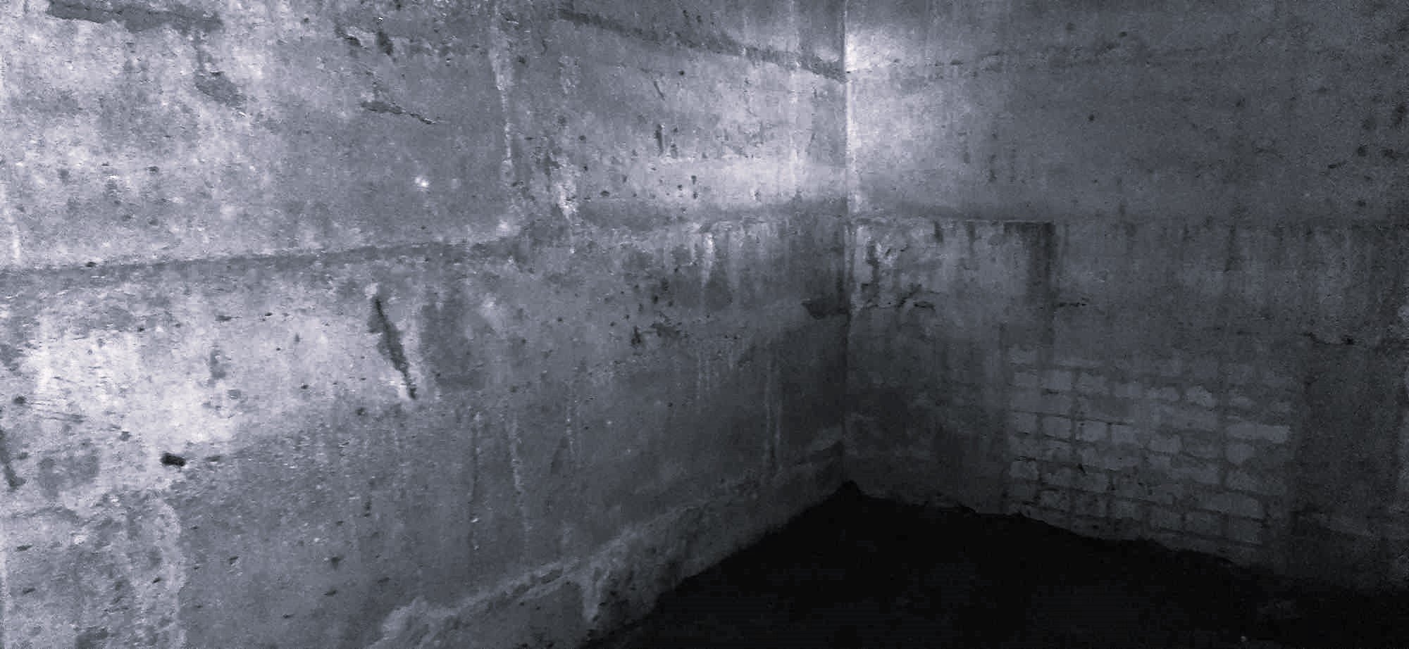 ŠAKNIAVAISIŲ SANDĖLIS – apkastas RŪSYS 436,11 kvad. m. vientiso ploto.