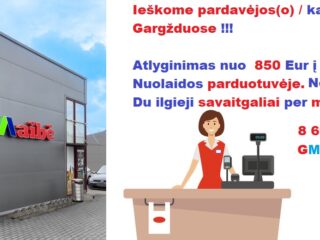 pexels-pixabay-259280