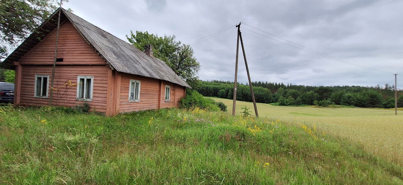 Parduodama sodyba vienkiemį Alytaus r. sav.