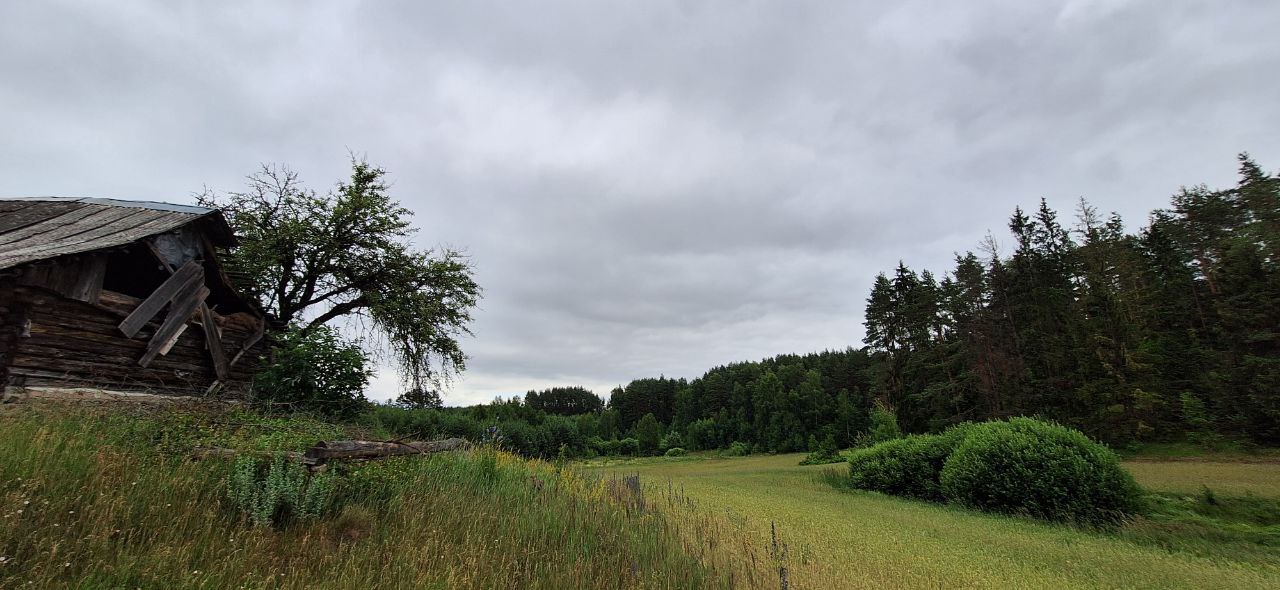 Parduodama sodyba vienkiemį Alytaus r. sav.