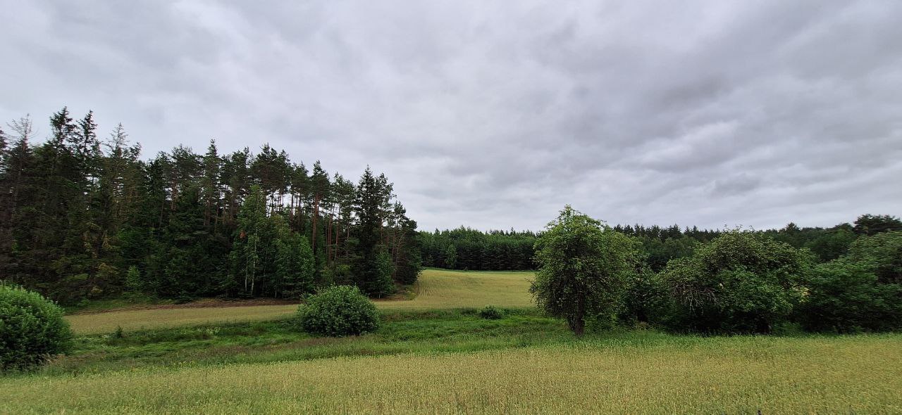 Parduodama sodyba vienkiemį Alytaus r. sav.