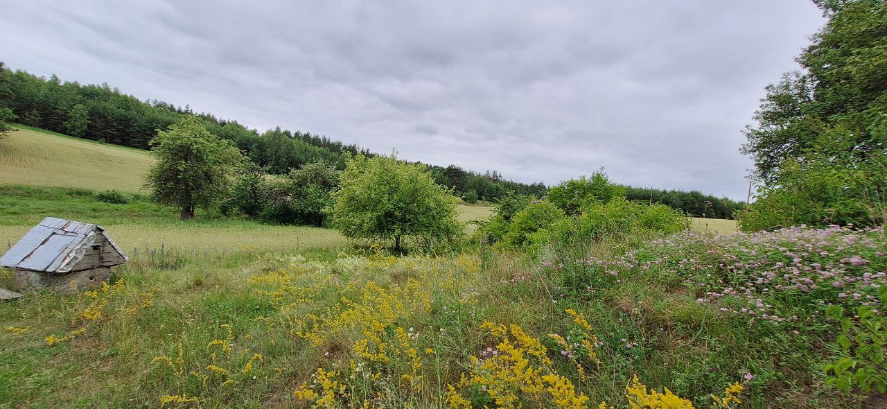 Parduodama sodyba vienkiemį Alytaus r. sav.