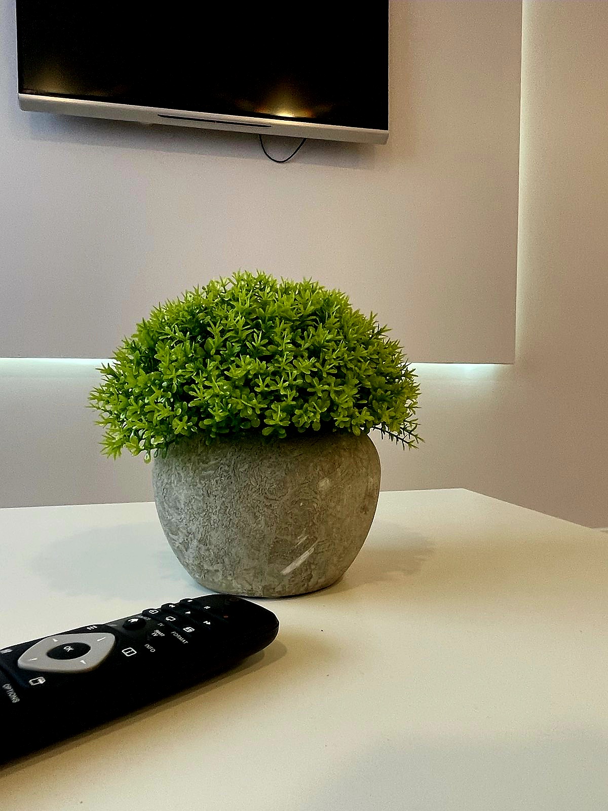 Parduodamas 2 kambarių butas po kapitalinio remonto