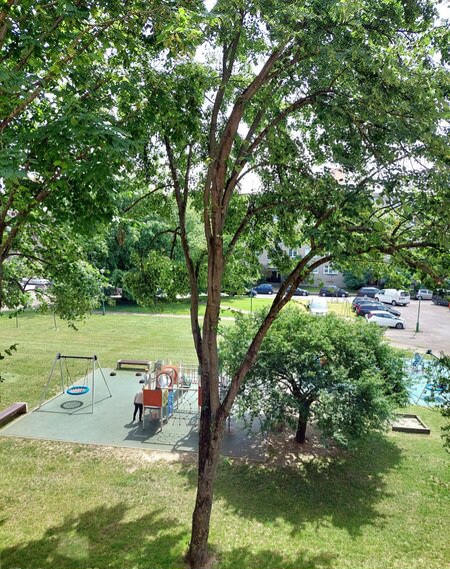 Parduodamas perplanuotas 3 kambarių butas