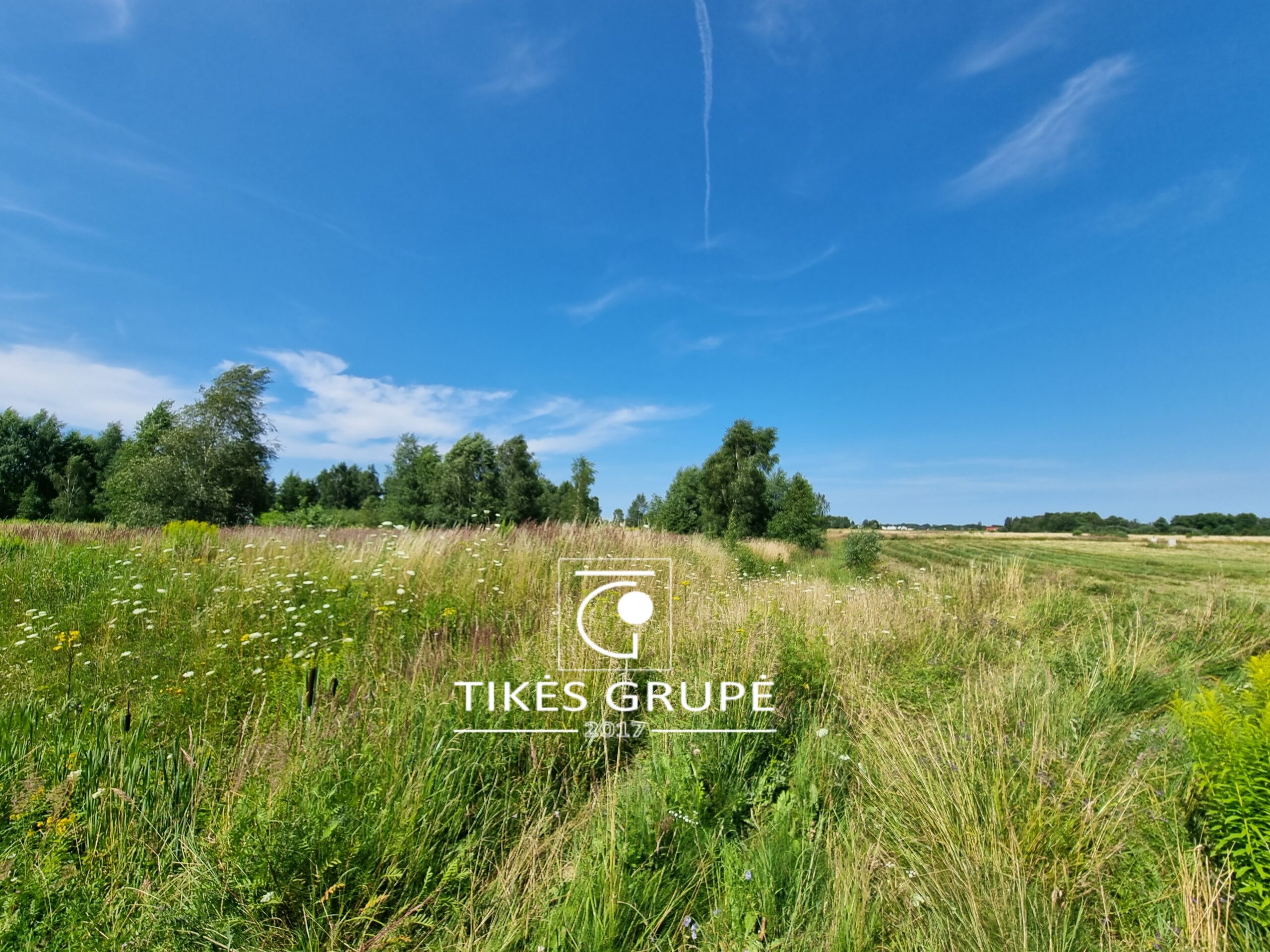 Radailiuose, parduodamas namų valdos 12 arų sklypas.