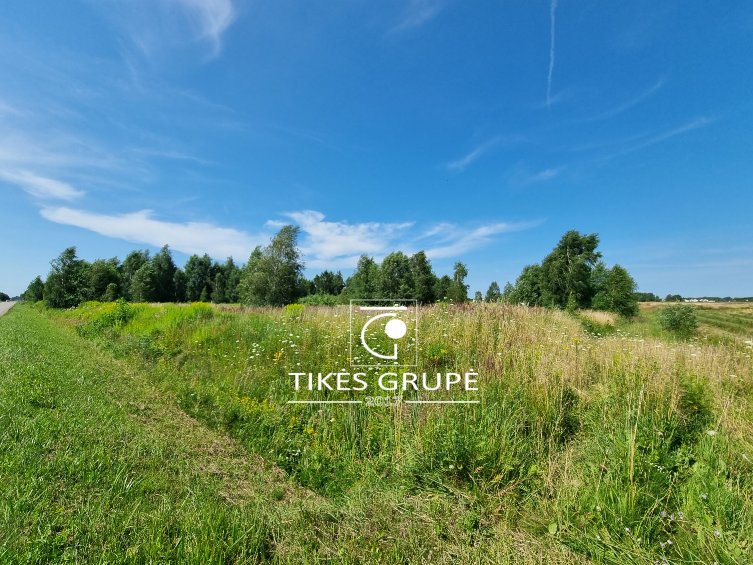 Radailiuose, parduodamas namų valdos 12 arų sklypas.