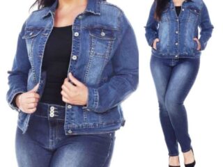 c195_dzinsinis_svarkas_dideli_dydziai