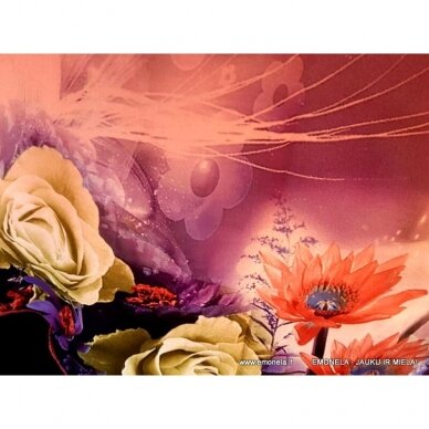 Tunika 48 d., su rožėmis, kaina 12 €