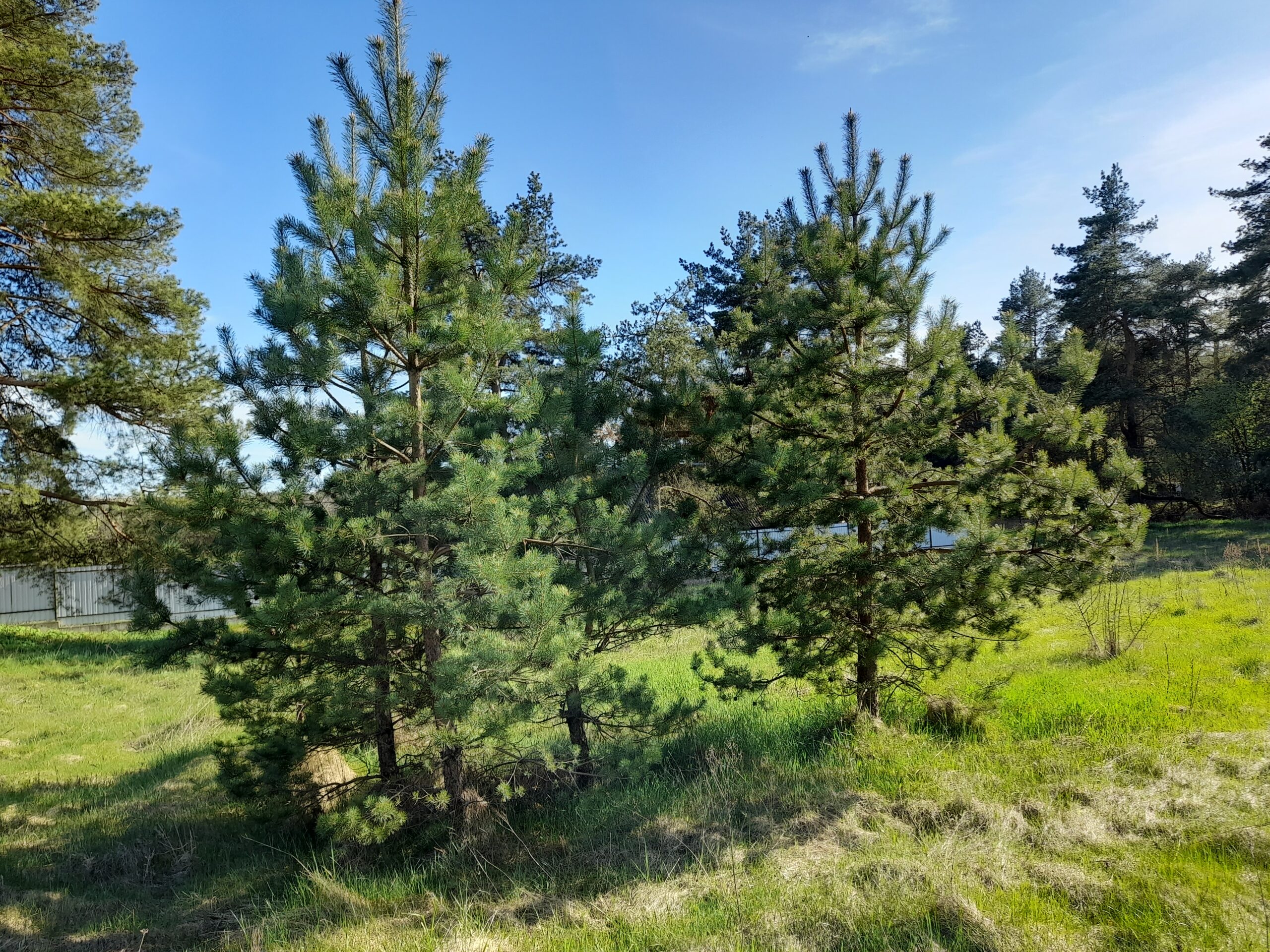 Parduodamas namas 40 km nuo Vilniaus