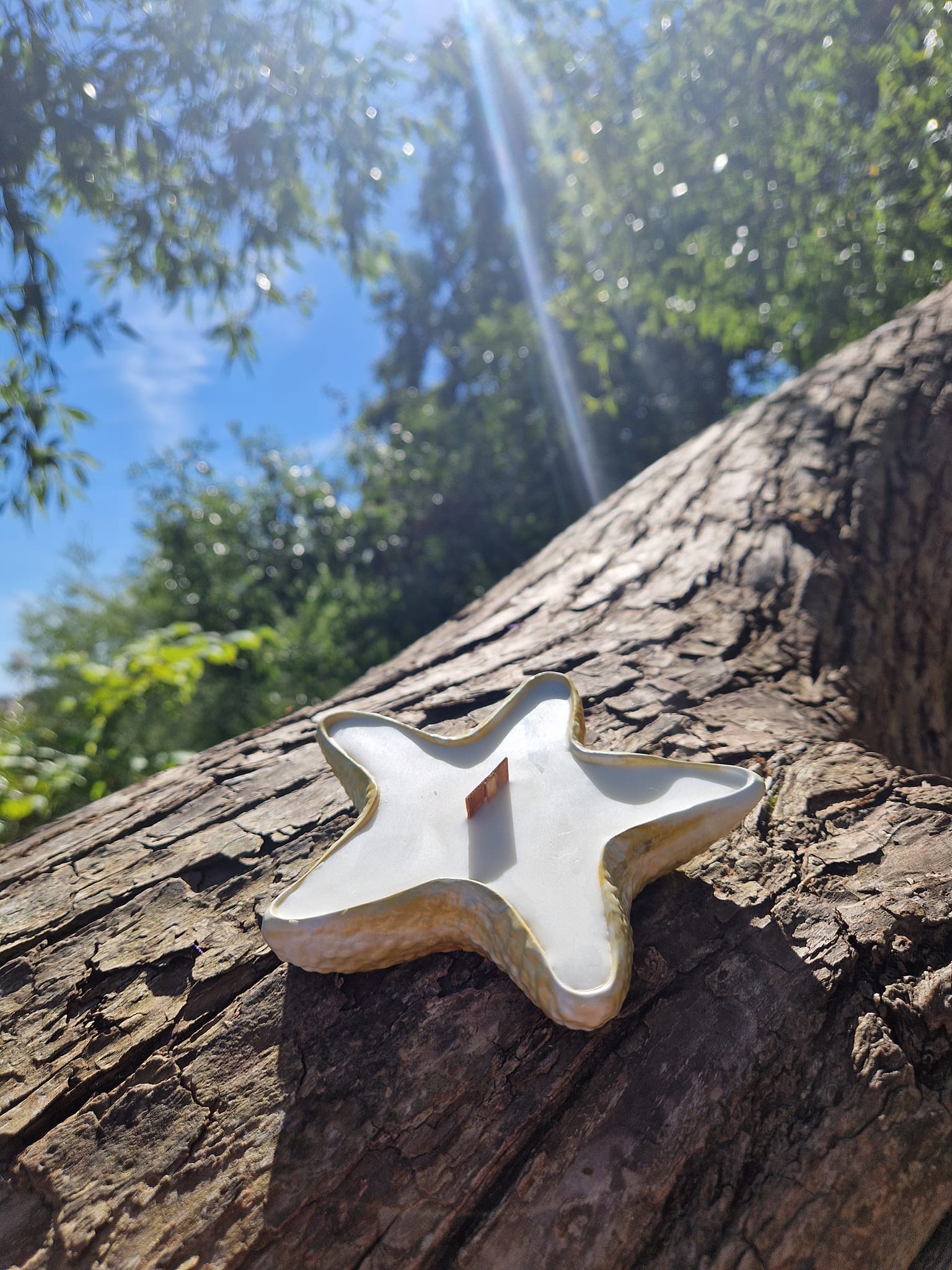 Rankų darbo išskirtiniai gipso gaminiai, žvakės – namų dekoro detalės ir dovanų idėjos