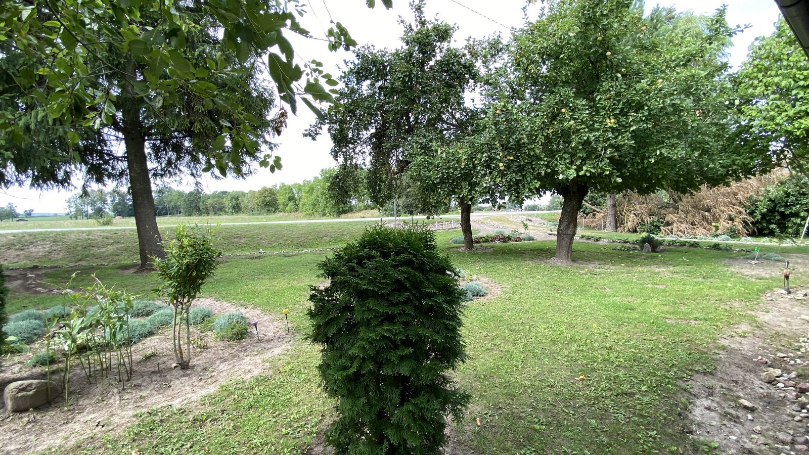 Rąstinis namukas Raseinių raj.