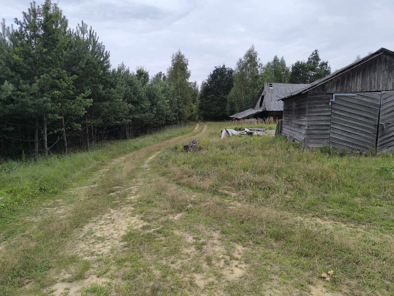 Parduodama sodyba Alytaus r. Butrimonių sen. Beržinės k.