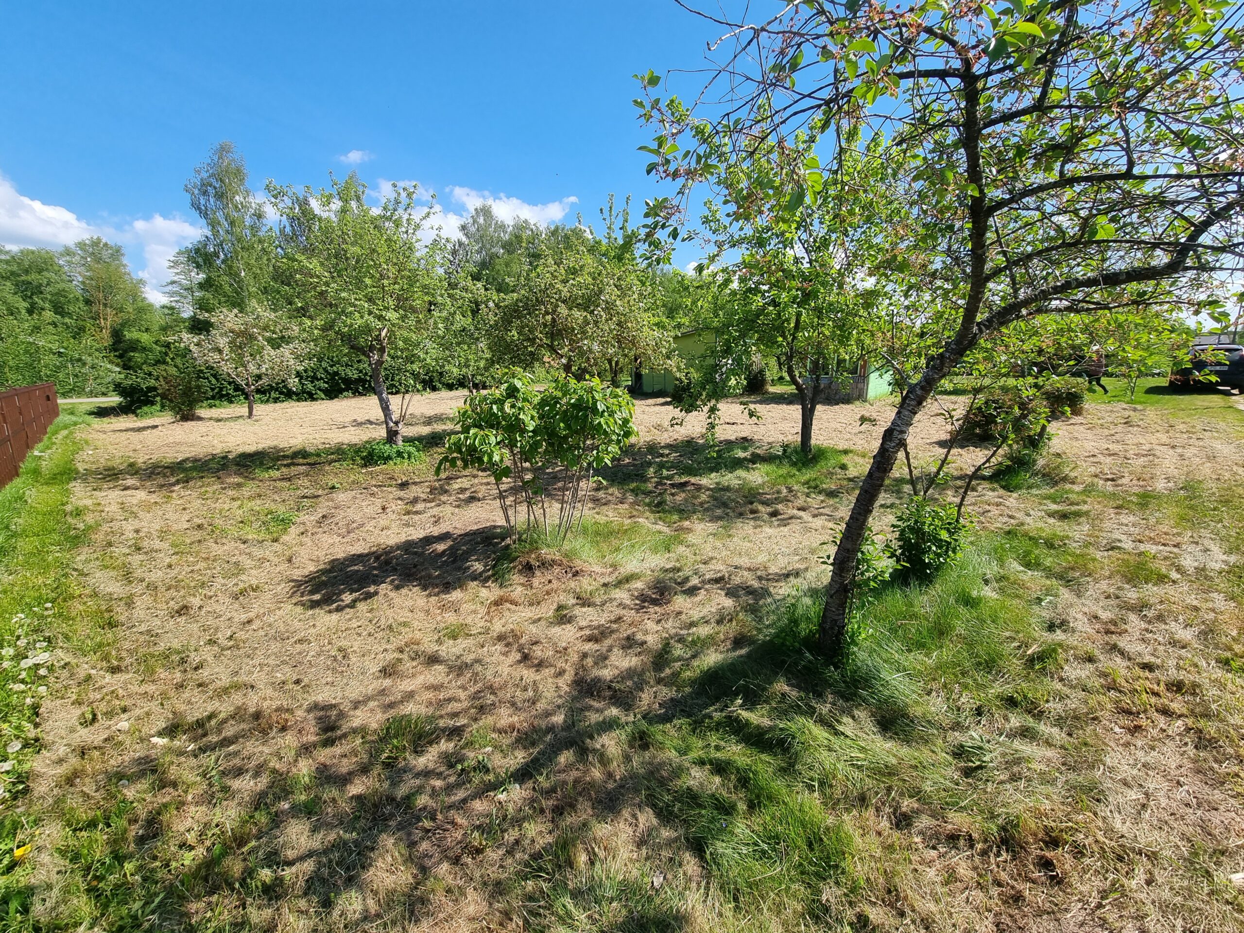 Sodas su nedideliu nameliu Panevėžio r.