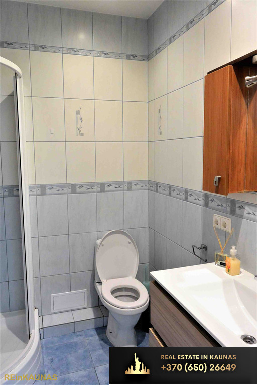 Išnuomojamas jaukus ir erdvus 2-jų kambarių butas Aleksote.