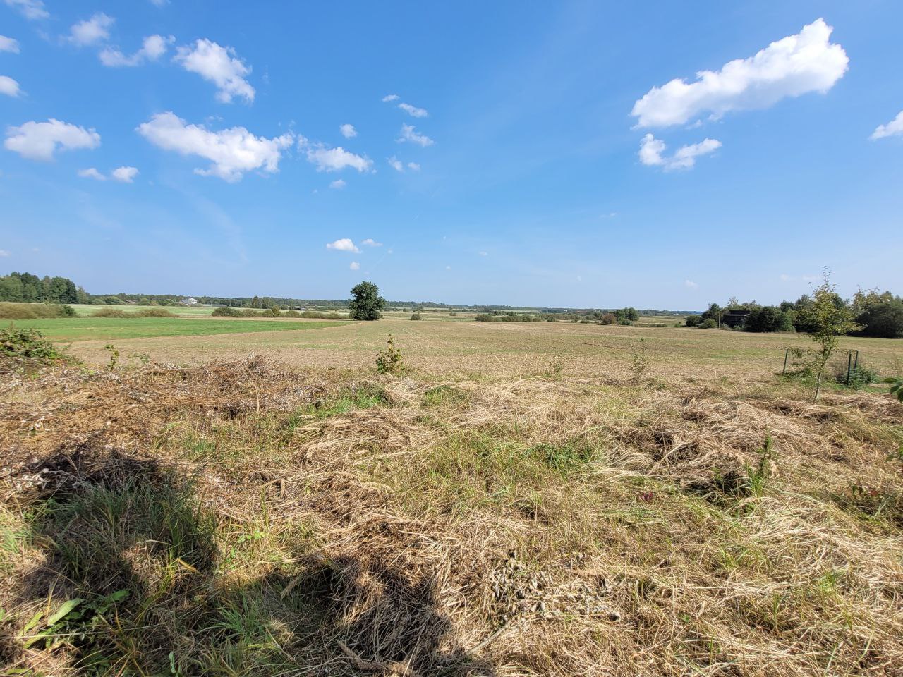 2 SKLYPAI Kaišiadorių r. Baniškių k.