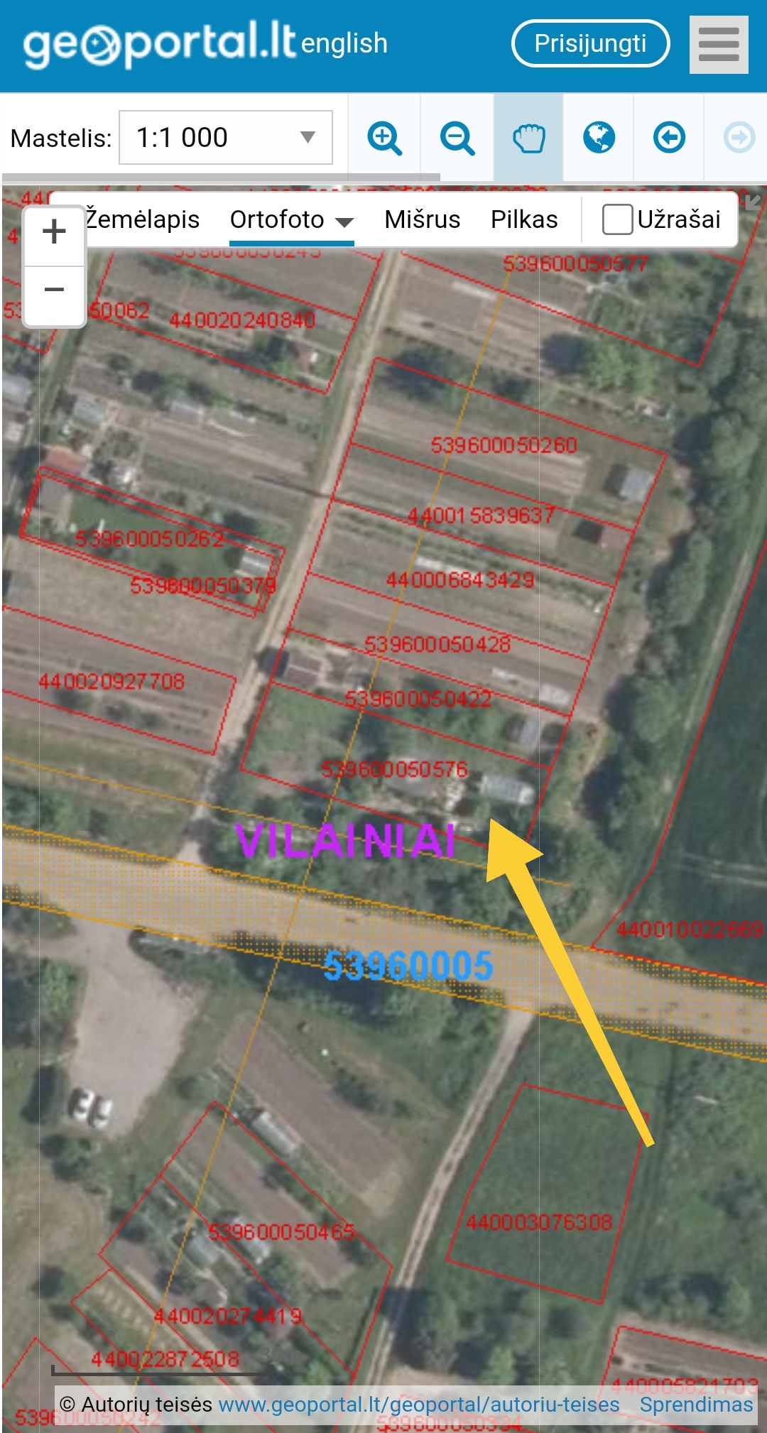 Sodas su nameliu Kėdainių r. sav., Vilainių k.