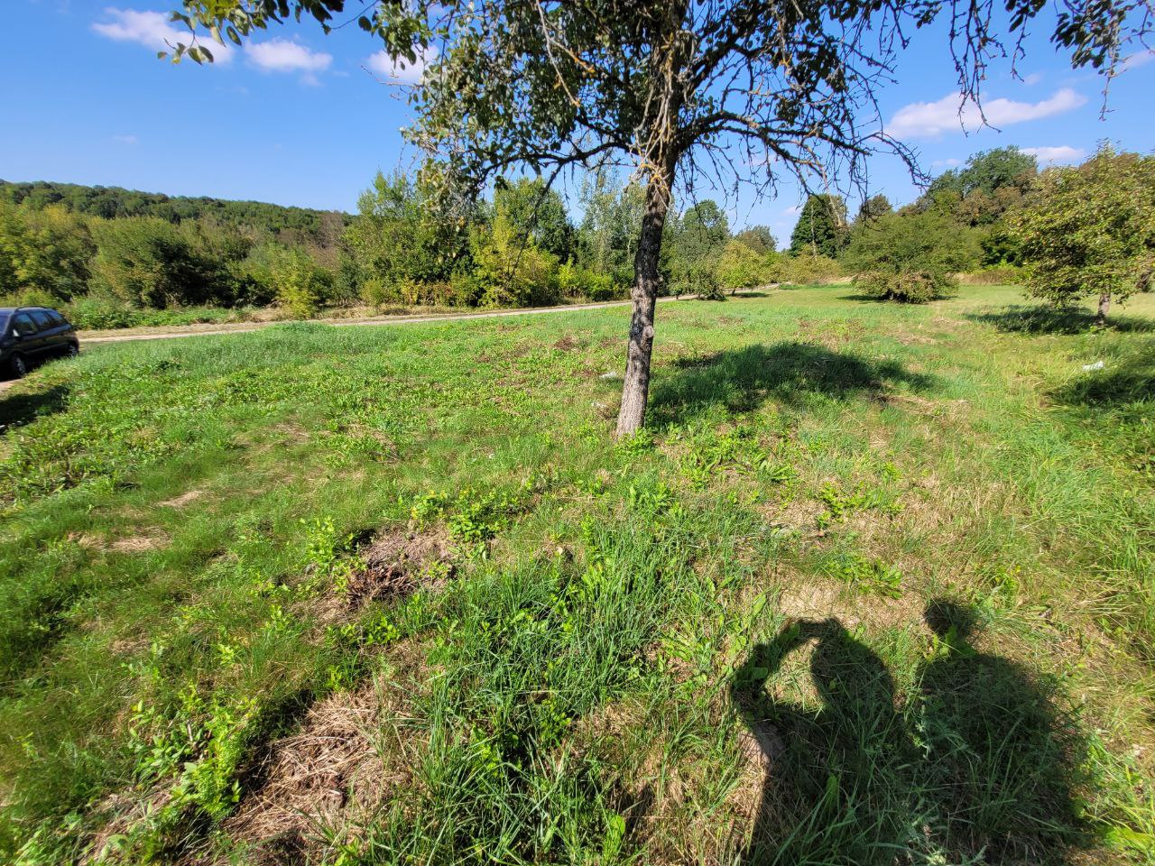 Parduodamas 6a sklypas Kupiškio rajone