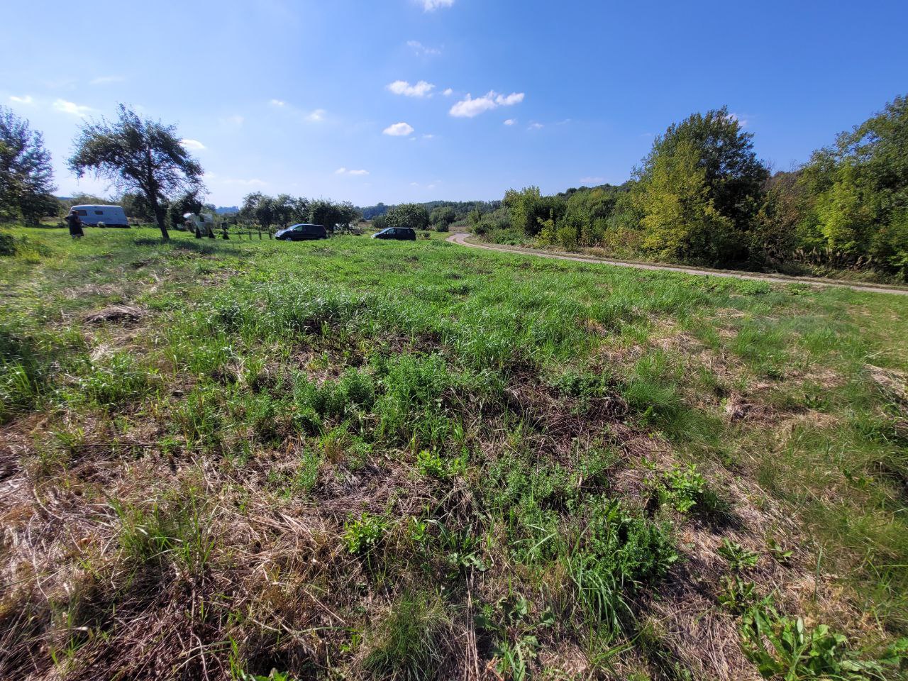 Parduodamas 6a sklypas Kupiškio rajone