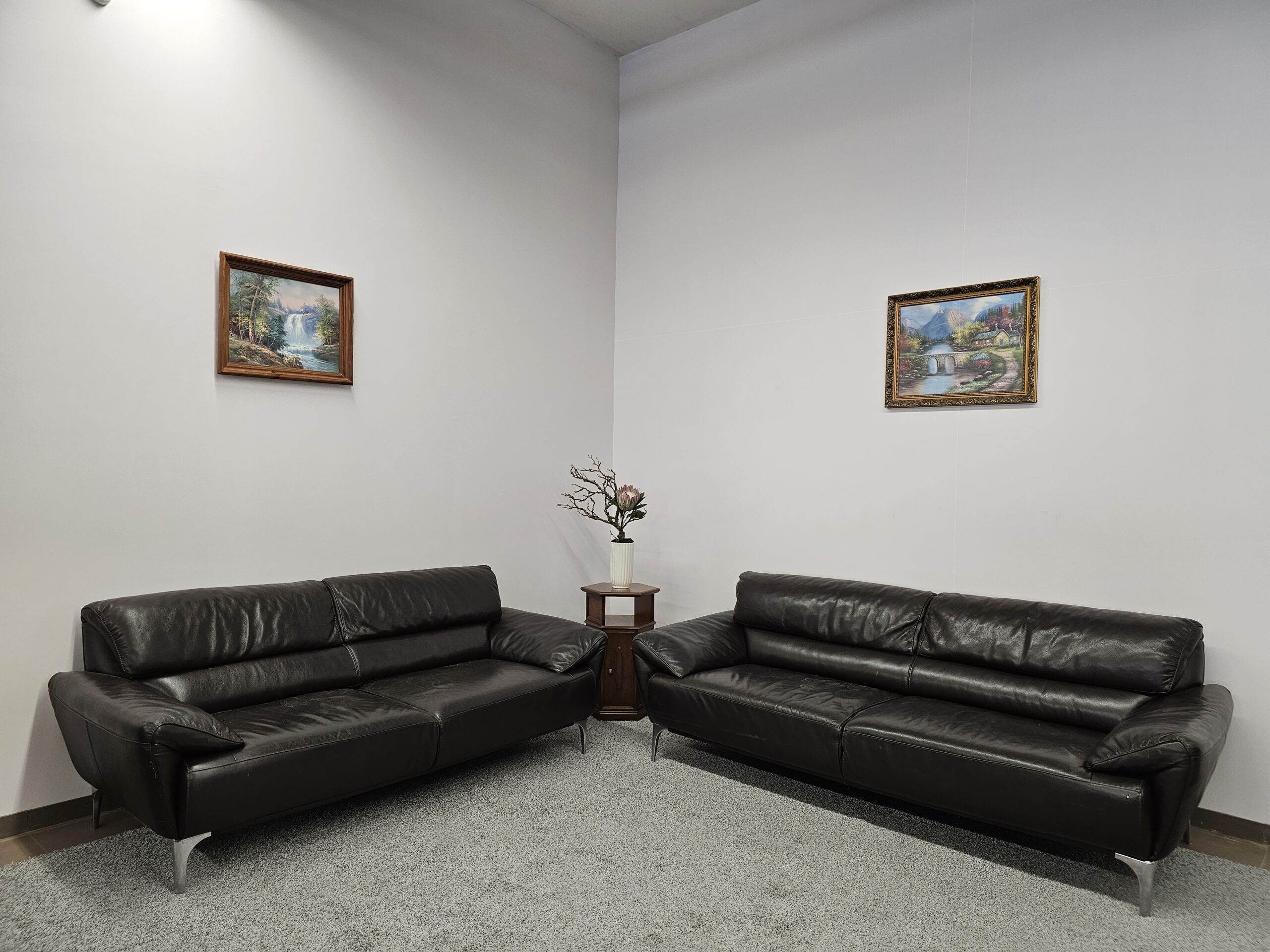 Natūralios odos komplektas